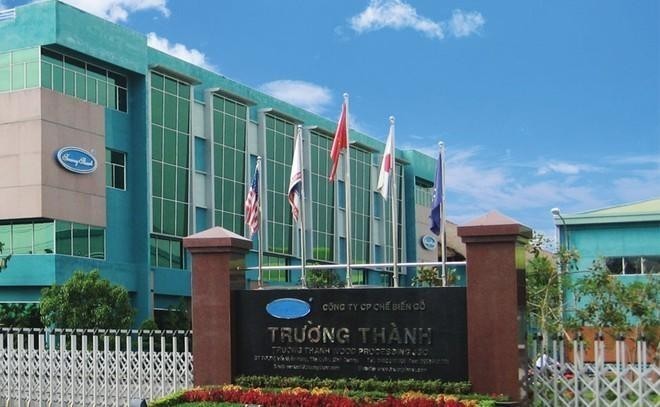 01-1472-1383 Gỗ Trường Thành (TTF) lỗ tới 209,8 tỷ đồng trong quý II/2026 khi tăng trích lập dự phòng