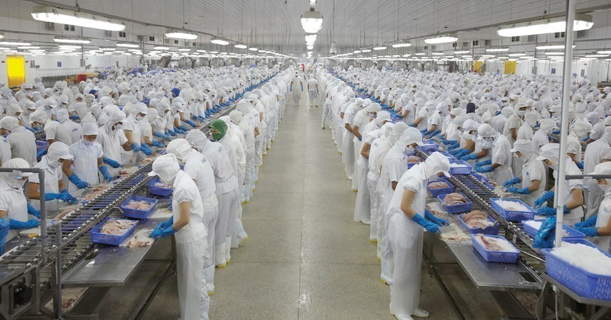 01-1709-2198 Doanh thu Vĩnh Hoàn (VHC) giảm 10% trong tháng 7/2026