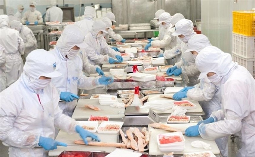 01-5161-1079 Lãnh đạo Nam Việt (ANV) đã mua vào 1 triệu cổ phiếu