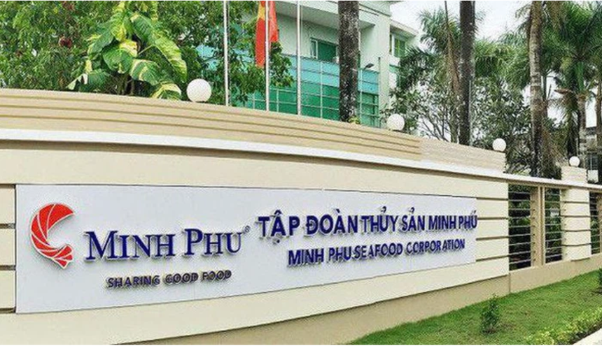01-519-7184 6 tháng, Thuỷ sản Minh Phú (MPC) lãi 415,4 tỷ đồng và dòng tiền âm thêm 390,7 tỷ đồng