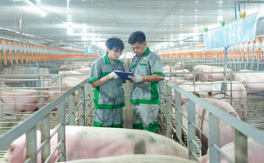 01-9554-4474 BAF Việt Nam (BAF) sắp chào bán cổ phiếu huy động 608,04 tỷ đồng