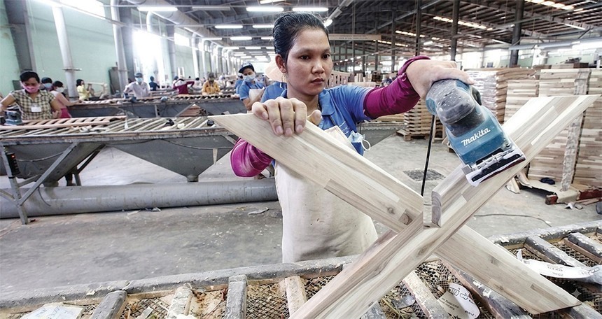 01-7755-8022 Cổ phiếu Gỗ Trường Thành (TTF) vào diện hạn chế giao dịch