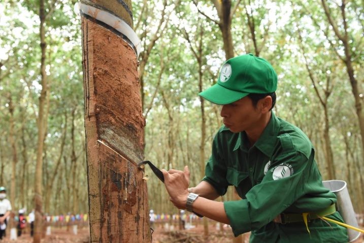 phr-8795 Cao su Phước Hòa (PHR) ước lãi sau thuế 9 tháng hơn 882 tỷ đồng, vượt 13% kế hoạch năm